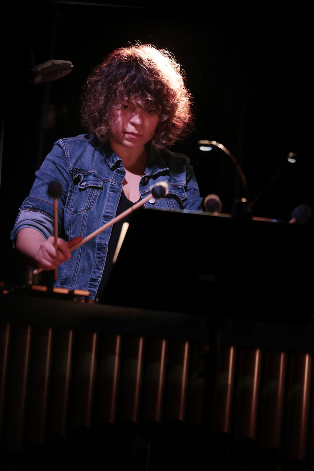 Patricia Brennan is playing the vibraphone.